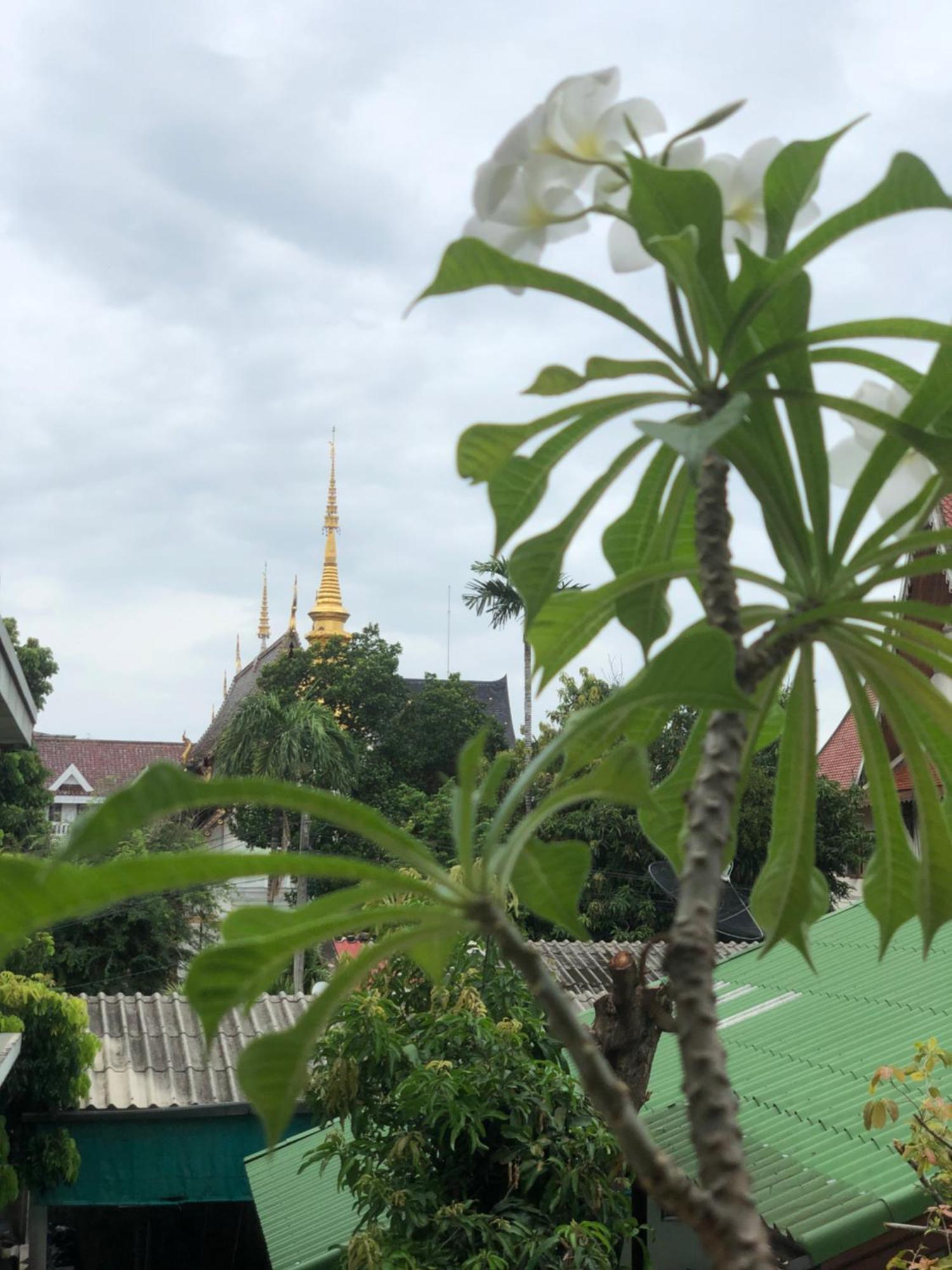 Thongran'S House Hotel Chiang Mai Exterior photo